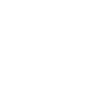 Matsinhe Cargo & Logística